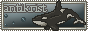 Antikrist button